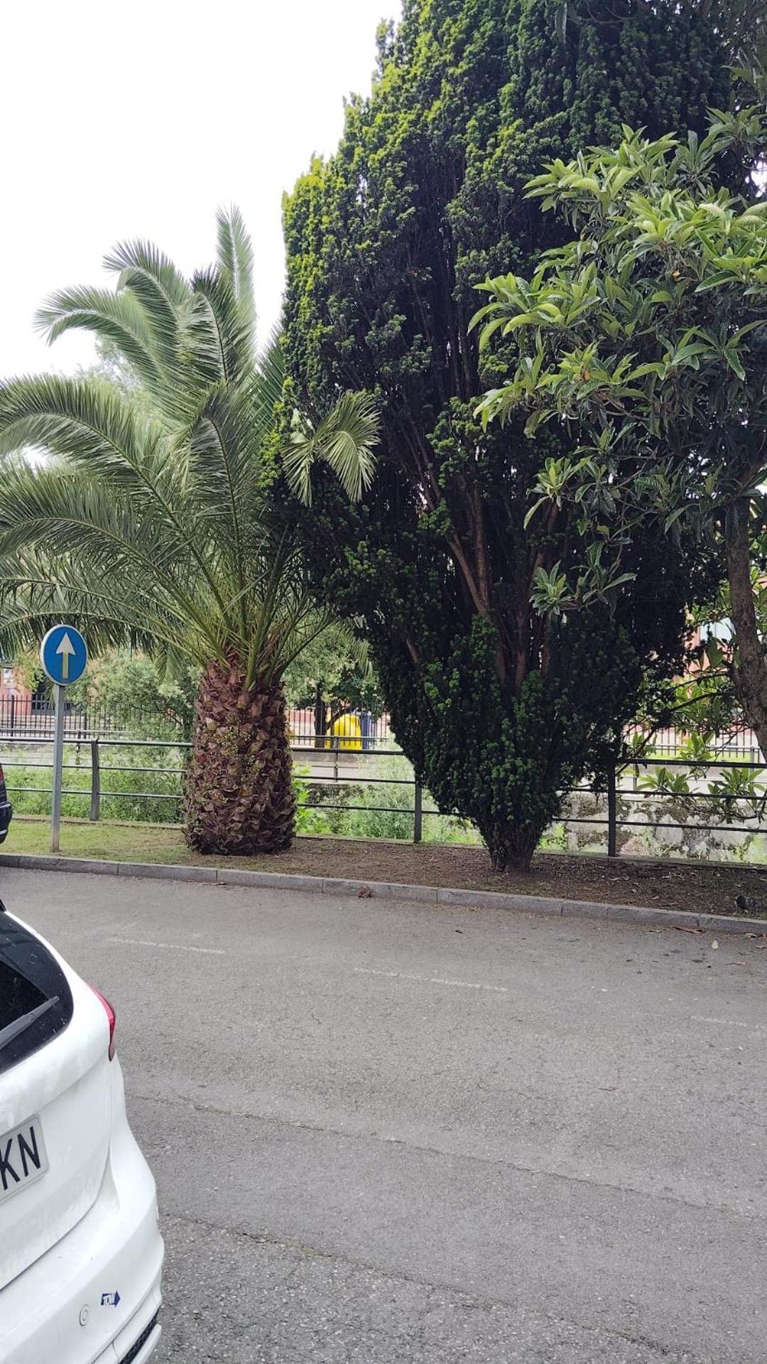 Apartamento El Caudalin De Mieres Mieres  Exterior foto